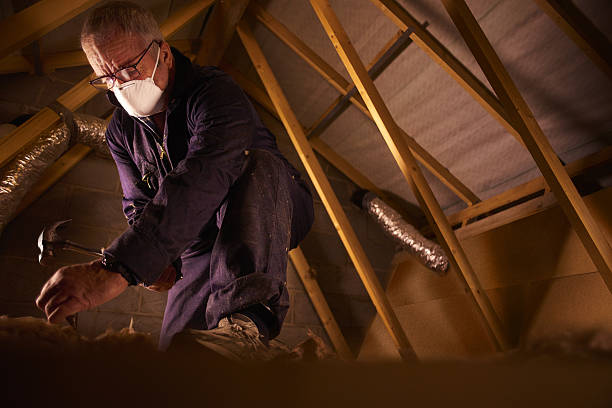 Best Specialty Insulation in Royal Palm Beach, FL